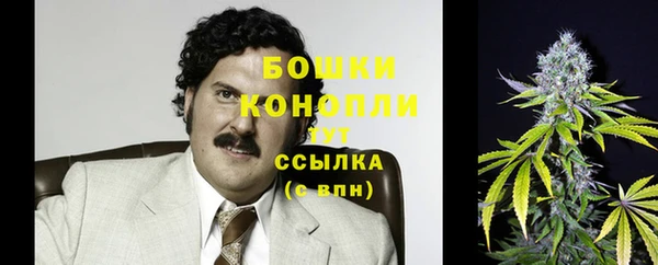 стафф Кинешма
