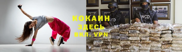 стафф Кинешма