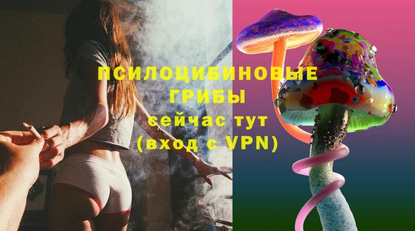 стафф Кинешма