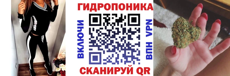 Бошки Шишки AK-47  Купить закладки  Беломорск 